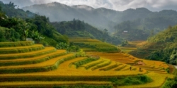 Vietnam: The beauty of Sapa