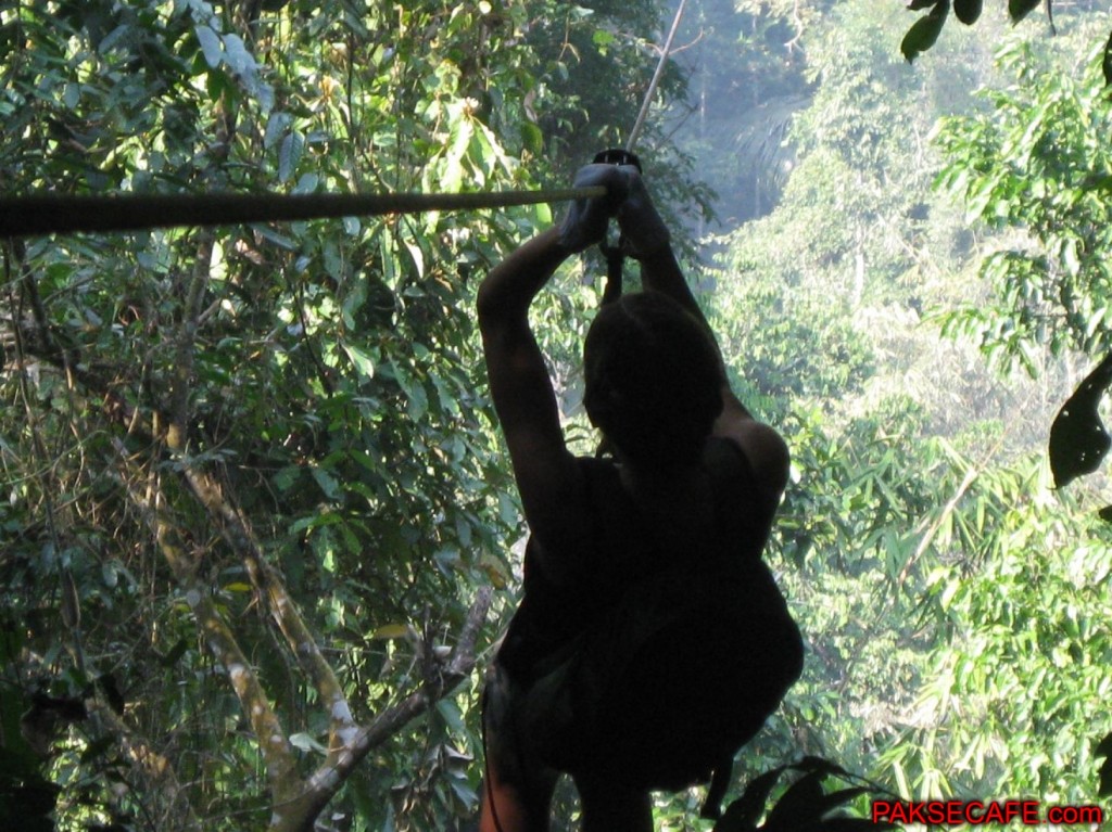 Zip Line Bokeo Nam Kan National Park