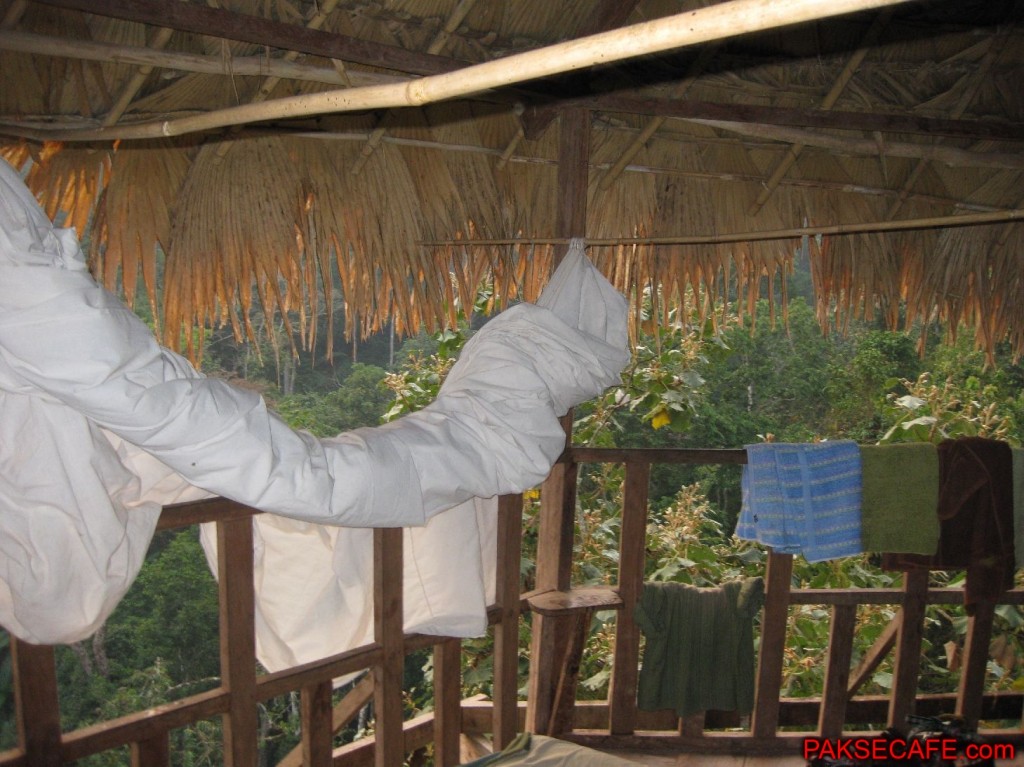 Sleeping Quarters in Tree Hut