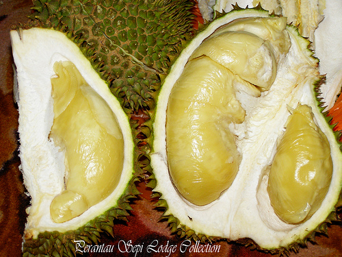 Durian by Amani Hasan