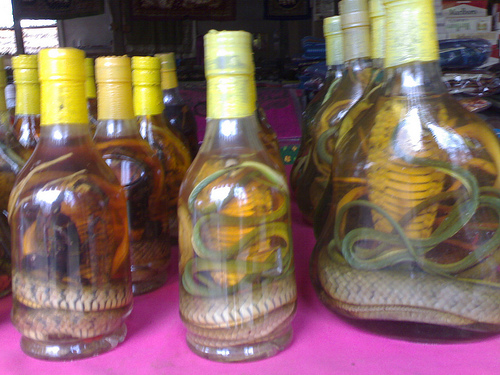  Lao Market Tonphueng - Laotian Snake Whiskey