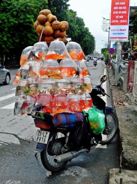 Motorbiking in Vietnam