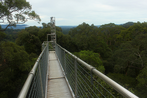 canopy walk by Little Raven, on Flickr