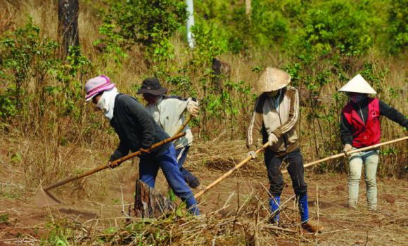 Turf battles: Vietnam’s land rights crisis