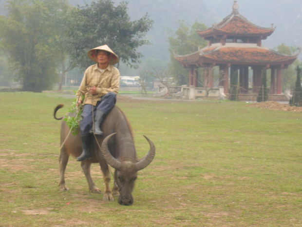 Da Nang a major port city but has a dark history