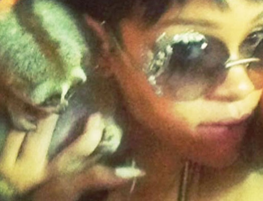 Two Arrested in Phuket from Rihanna's Instagram Images