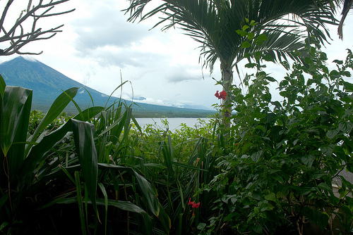 Visit Bali Bamboo Village