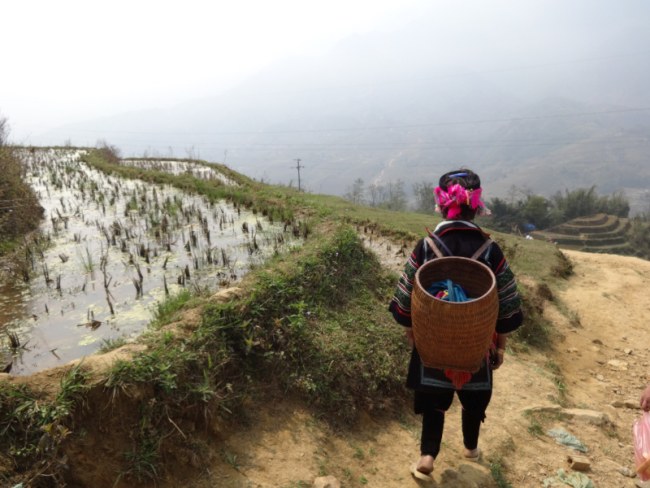 The Valley of Sa Pa, Vietnam