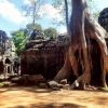 Cambodia’s Angkor Wat: Tips and Which Temples to See at Sunrise